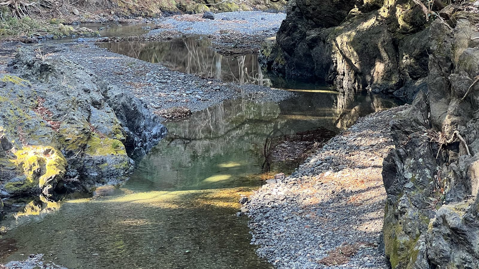 すがり1 - 全区画（貸切）（10/14）