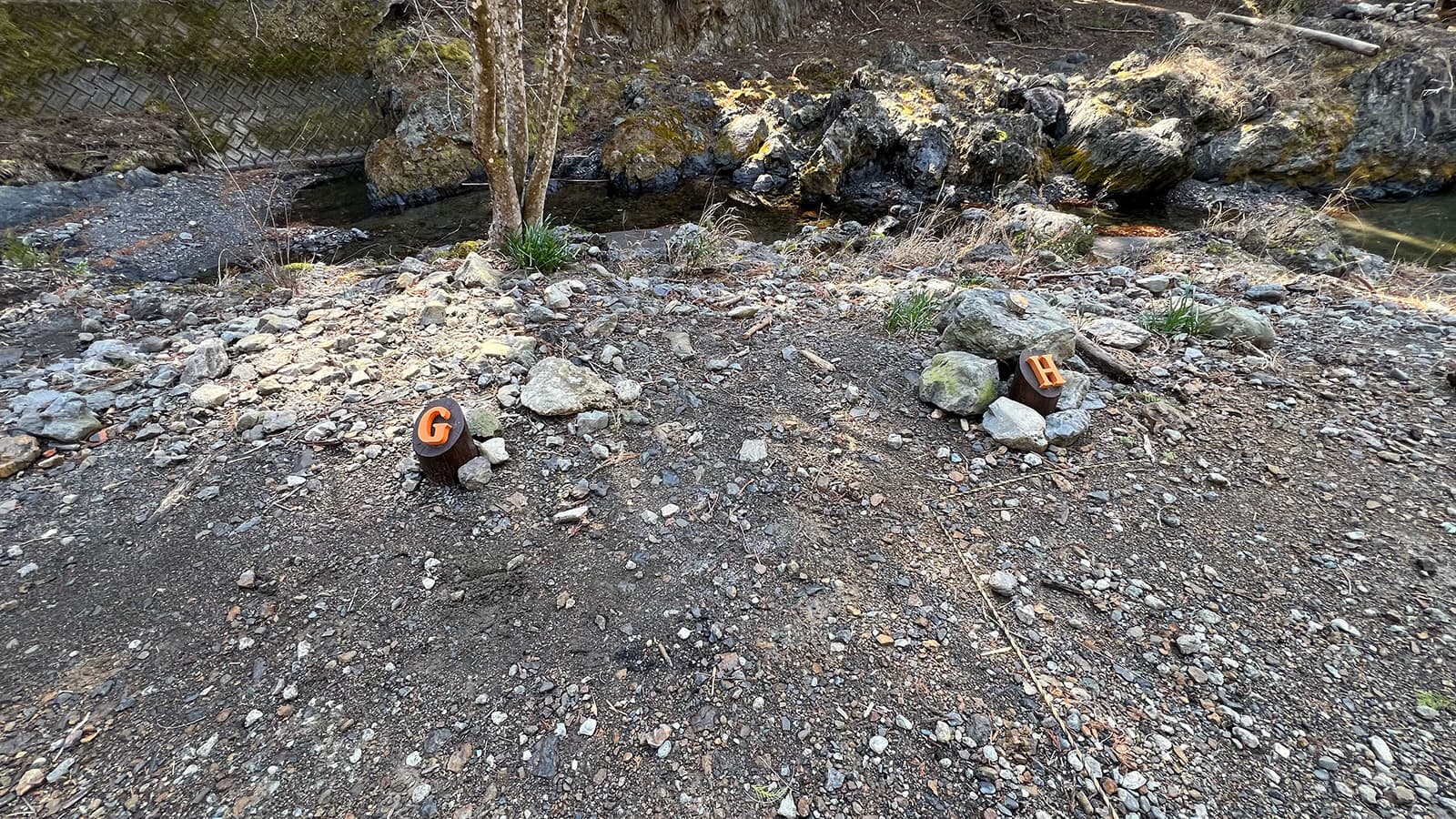 すがり1 - 全区画（貸切）（12/14）