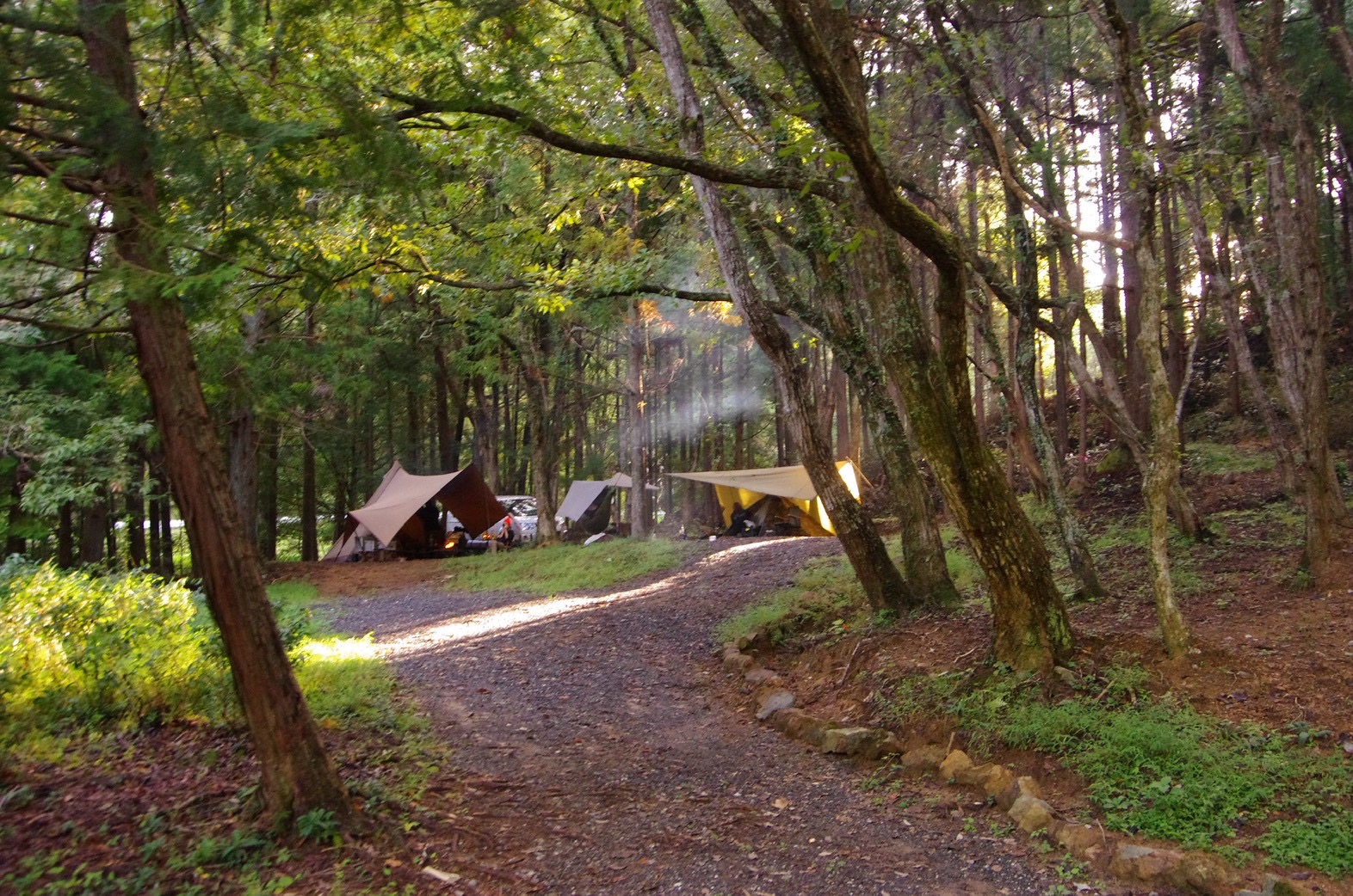 すがり2 - Riverside Forest（フリーサイト）