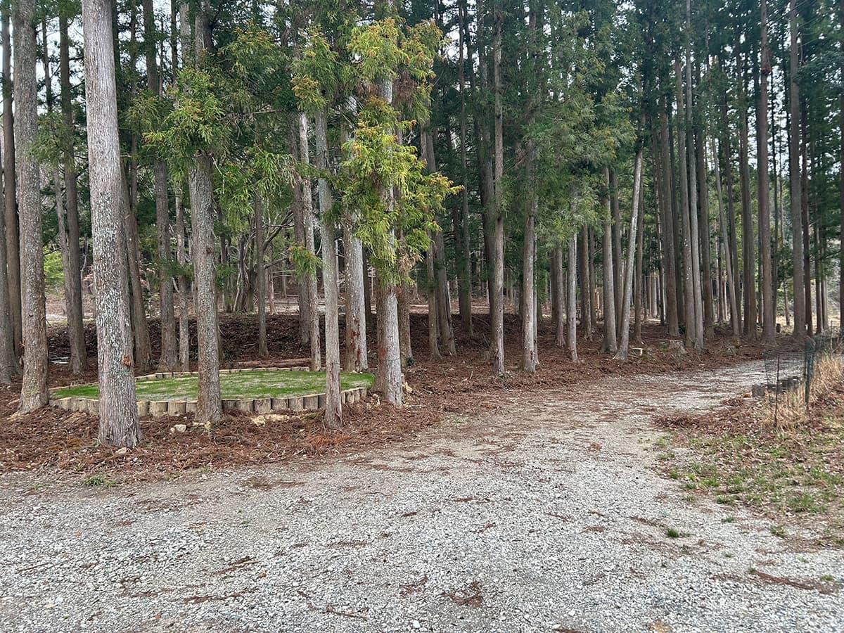 イベント、オフ会、撮影会、ブライダルなど貸切相談受付中！！（4/12）