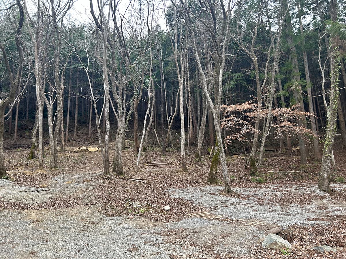 イベント、オフ会、撮影会、ブライダルなど貸切相談受付中！！（10/12）