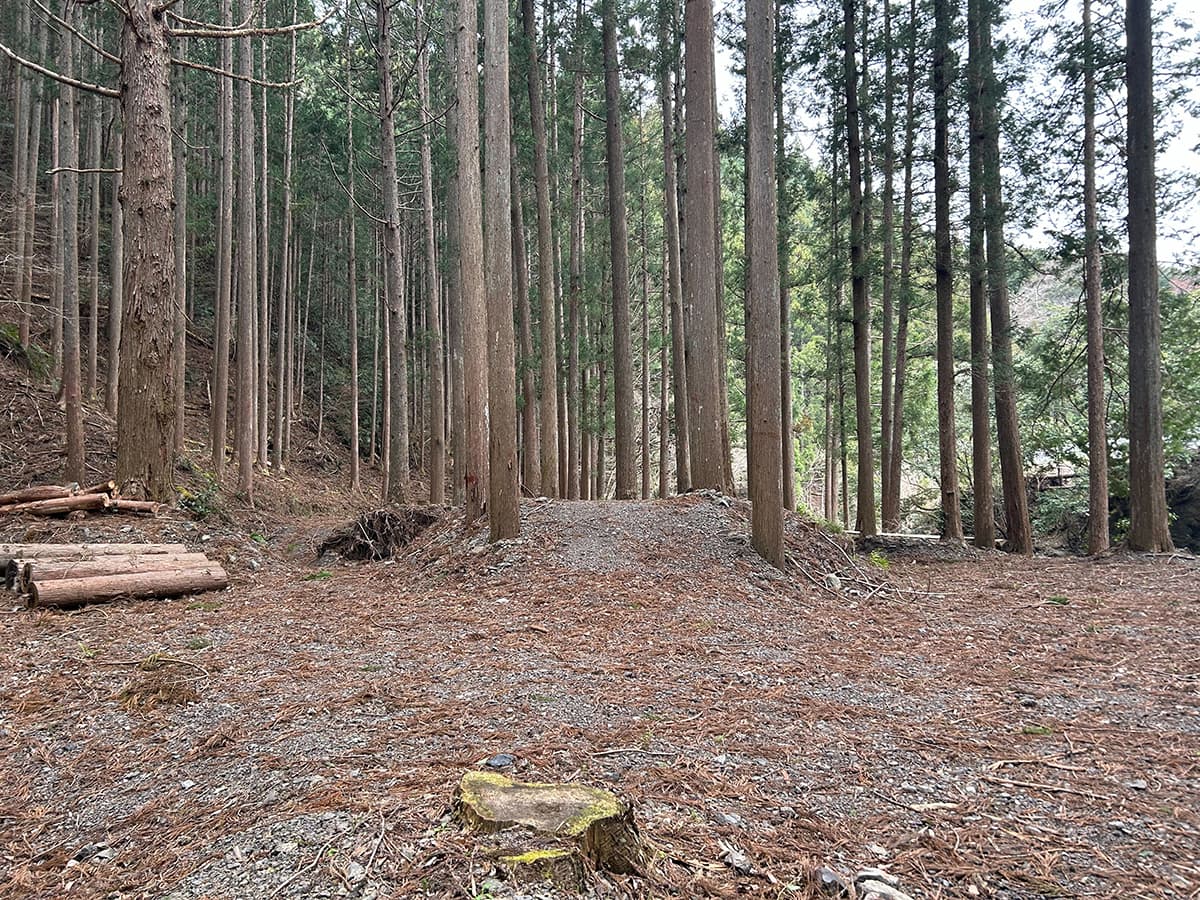 イベント、オフ会、撮影会、ブライダルなど貸切相談受付中！！（12/12）