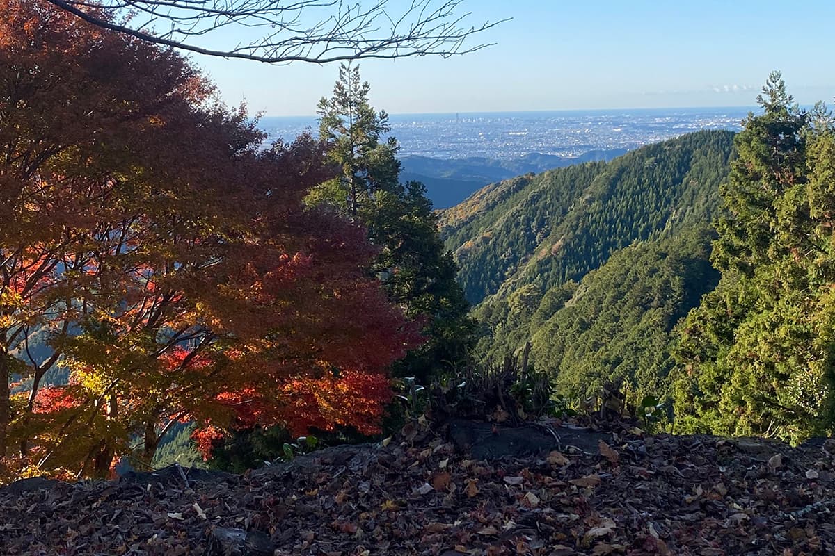 天空サイト（会員限定）宿泊利用（2/6）