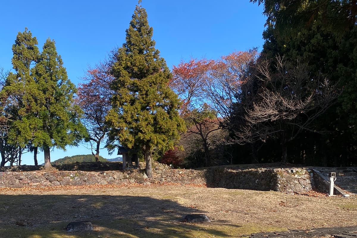 天空サイト（会員限定）宿泊利用（4/6）