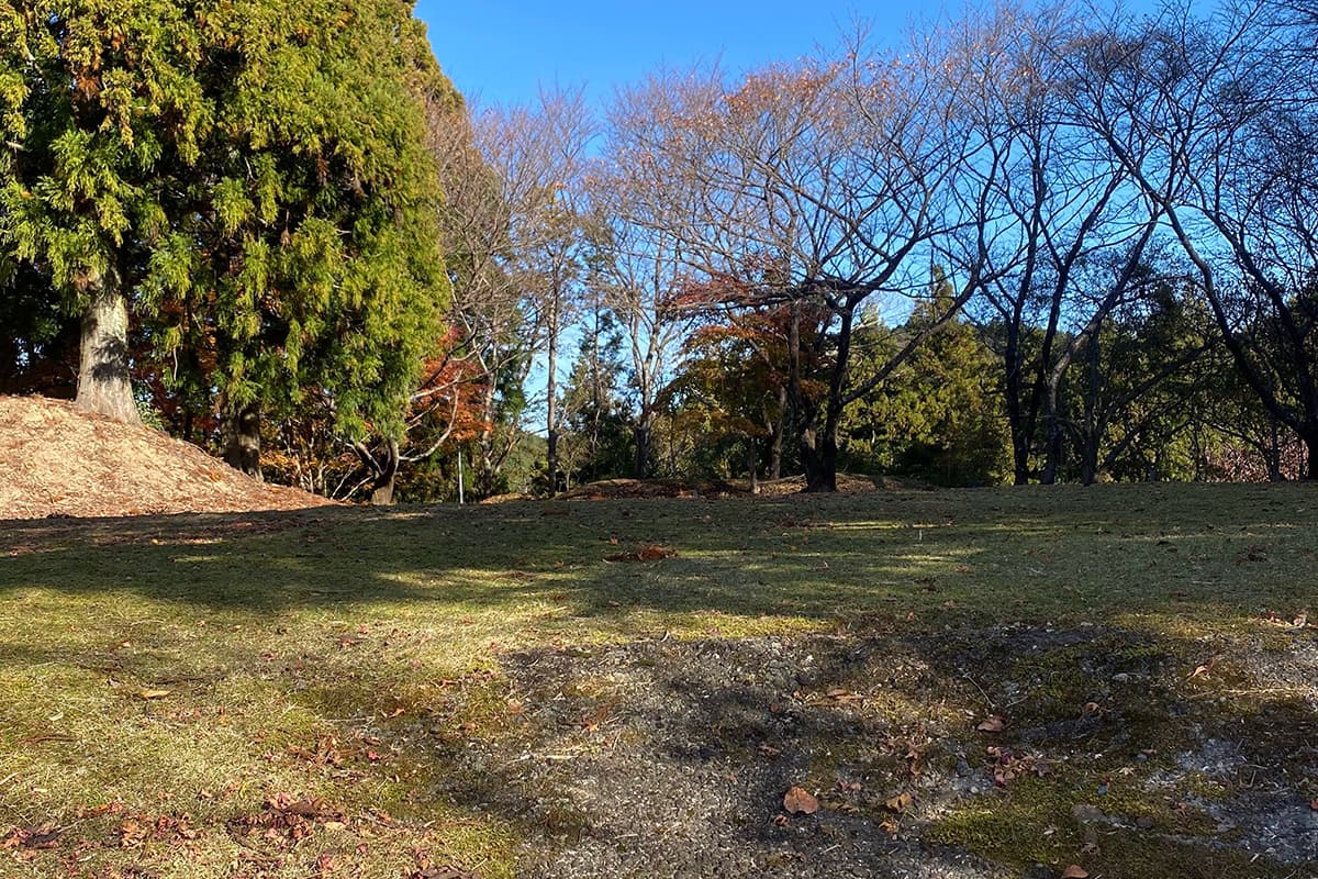 天空サイト（会員限定）デイのみお弁当付き（5/5）